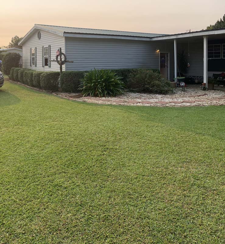 well maintained lawn